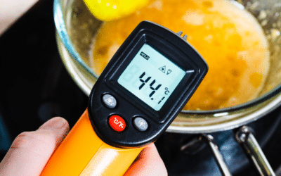 10 Best Smart Food Thermometers